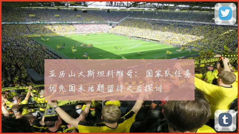 亚历山大斯坦科维奇：国家队任务优先国米话题留待之后探讨