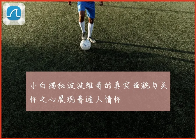小白揭秘波波维奇的真实面貌与关怀之心展现普通人情怀